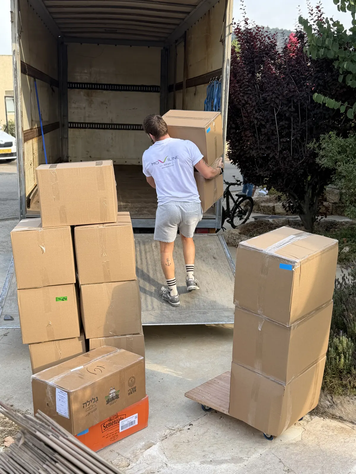 Moviline work — apartment move