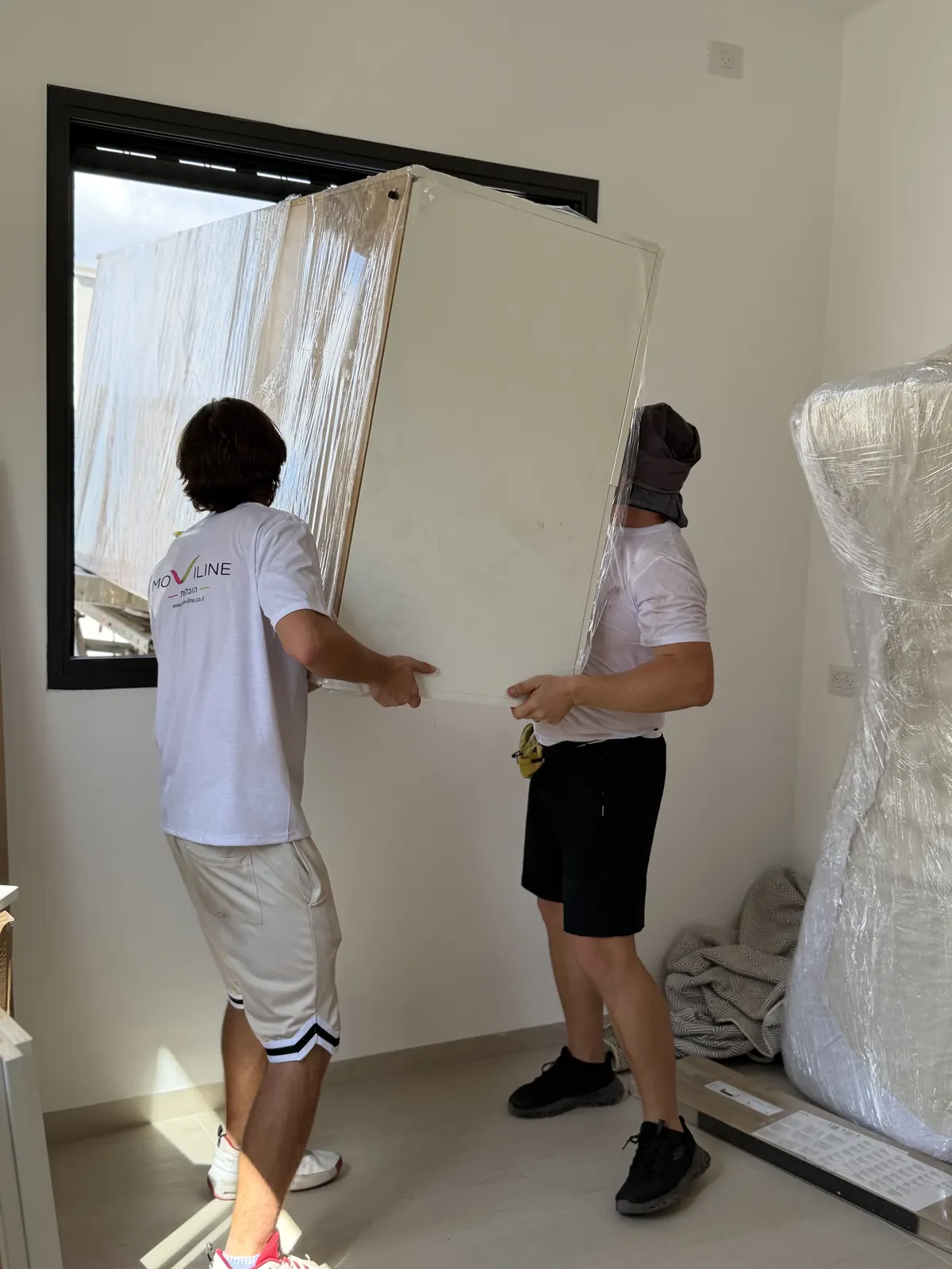 Moviline work — office move