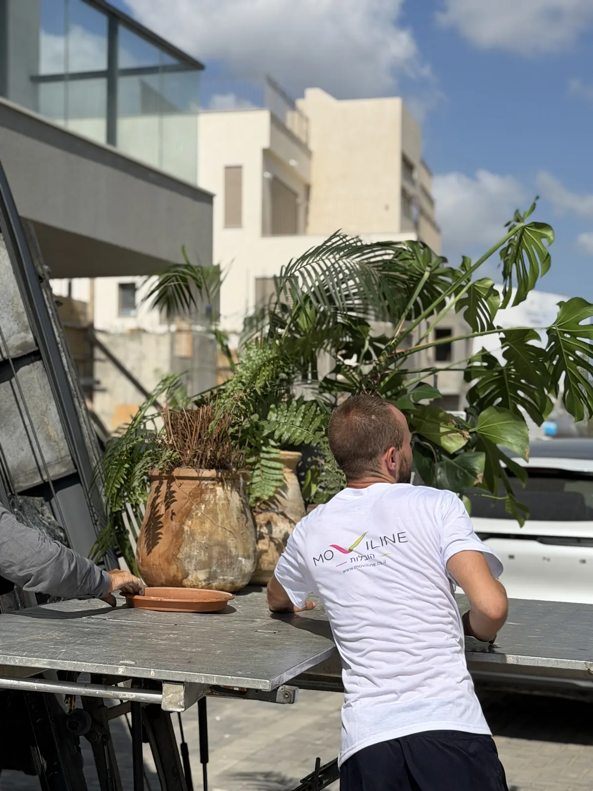 Moviline work — furniture packing