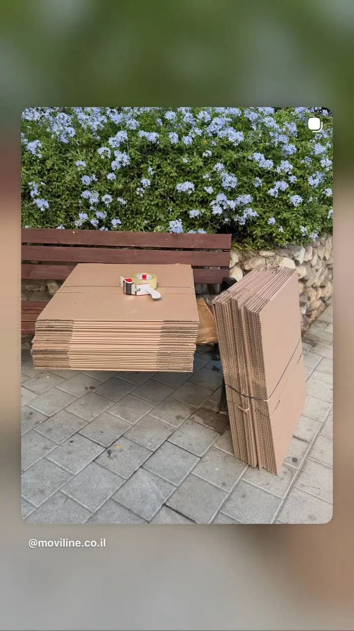 Moviline work — movers