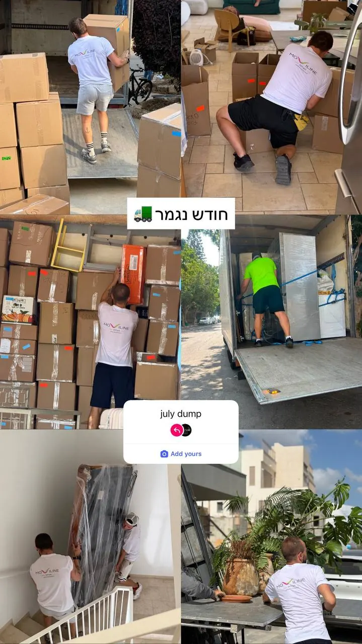 Moviline work — furniture packing