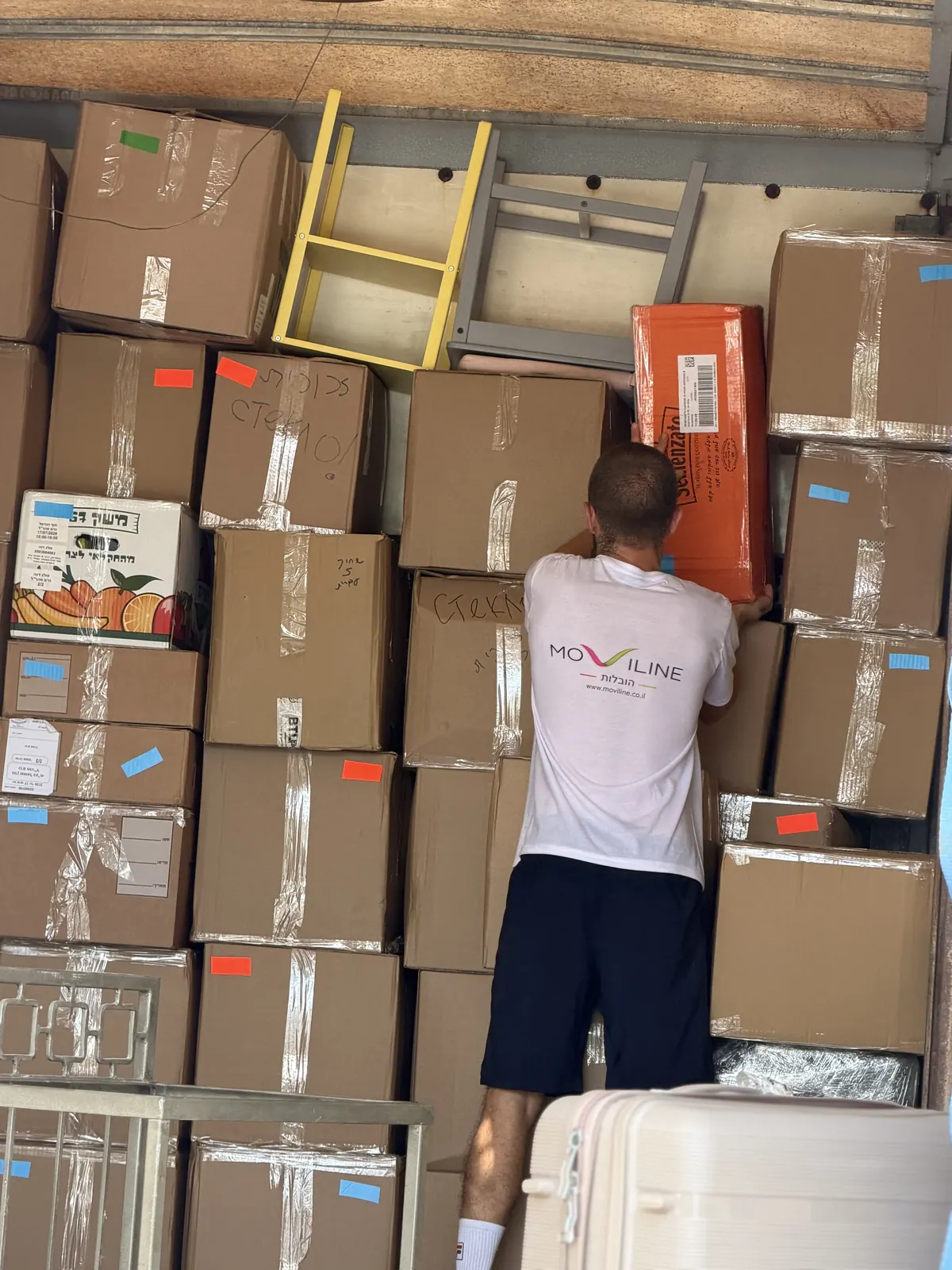 Moviline work — careful transport